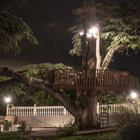 Villa D'Arte Agri Resort Pontassieve Bagian luar foto