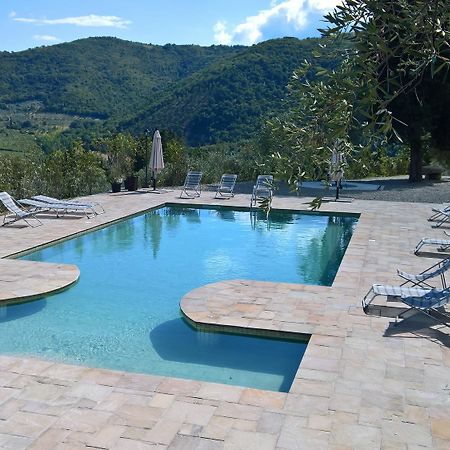 Villa D'Arte Agri Resort Pontassieve Bagian luar foto