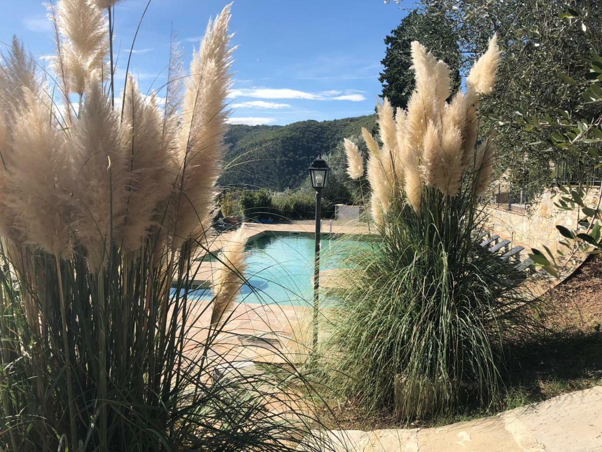 Villa D'Arte Agri Resort Pontassieve Bagian luar foto