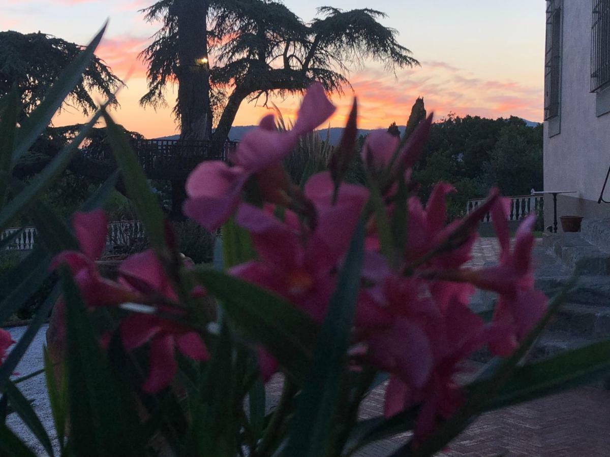 Villa D'Arte Agri Resort Pontassieve Bagian luar foto