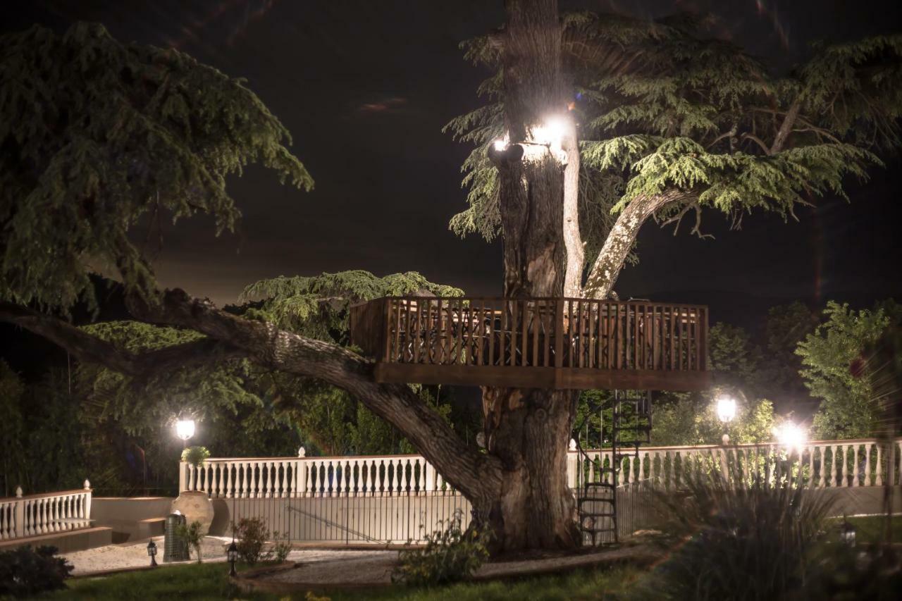 Villa D'Arte Agri Resort Pontassieve Bagian luar foto